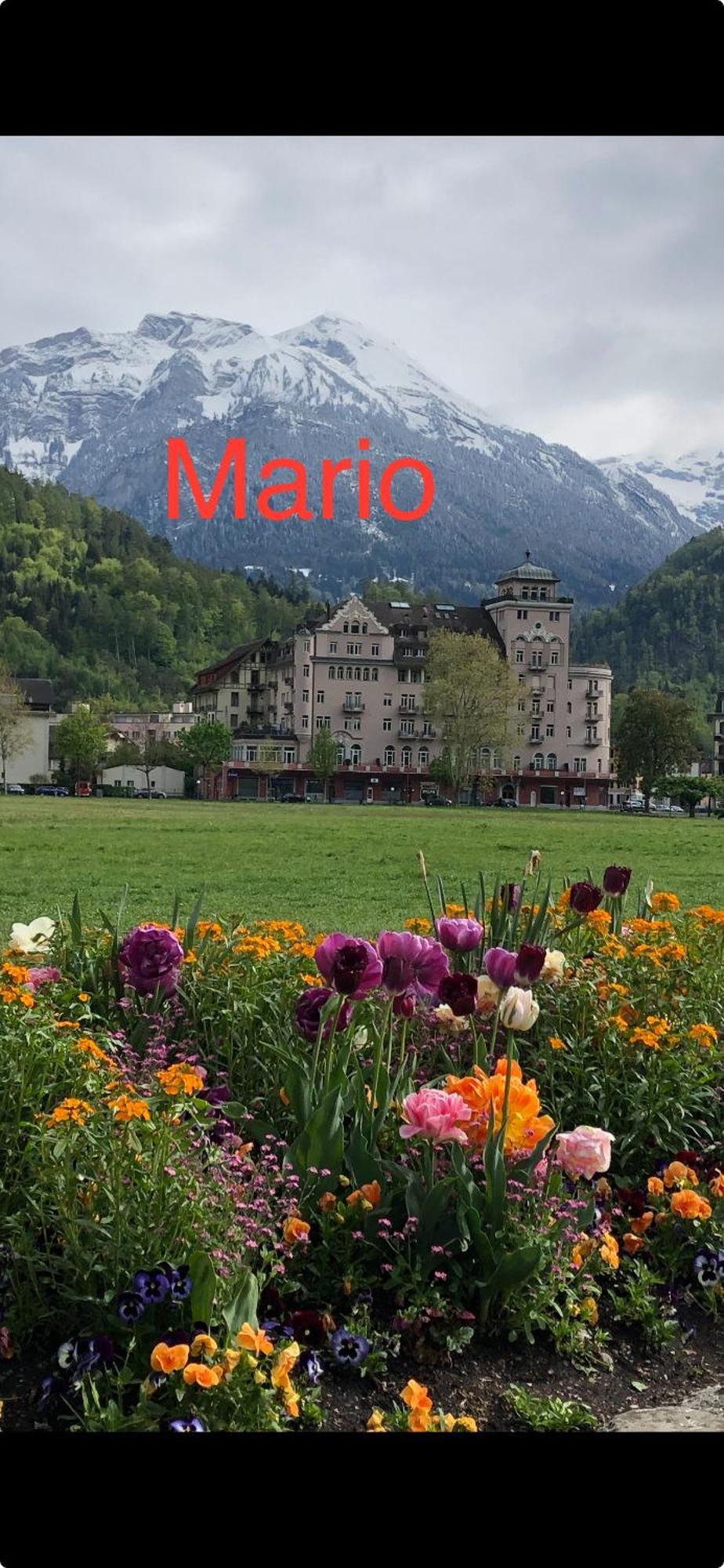 By Mario Apartment *